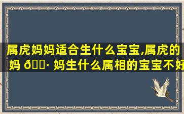 属虎妈妈适合生什么宝宝,属虎的妈 🕷 妈生什么属相的宝宝不好